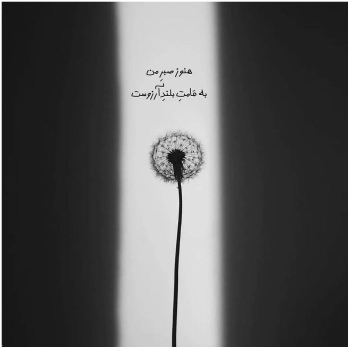 دانلود آهنگ مخصوص دور دور شایان اشراقی علی یاسنی ریحانا احسان دریادل از فارس ترانه